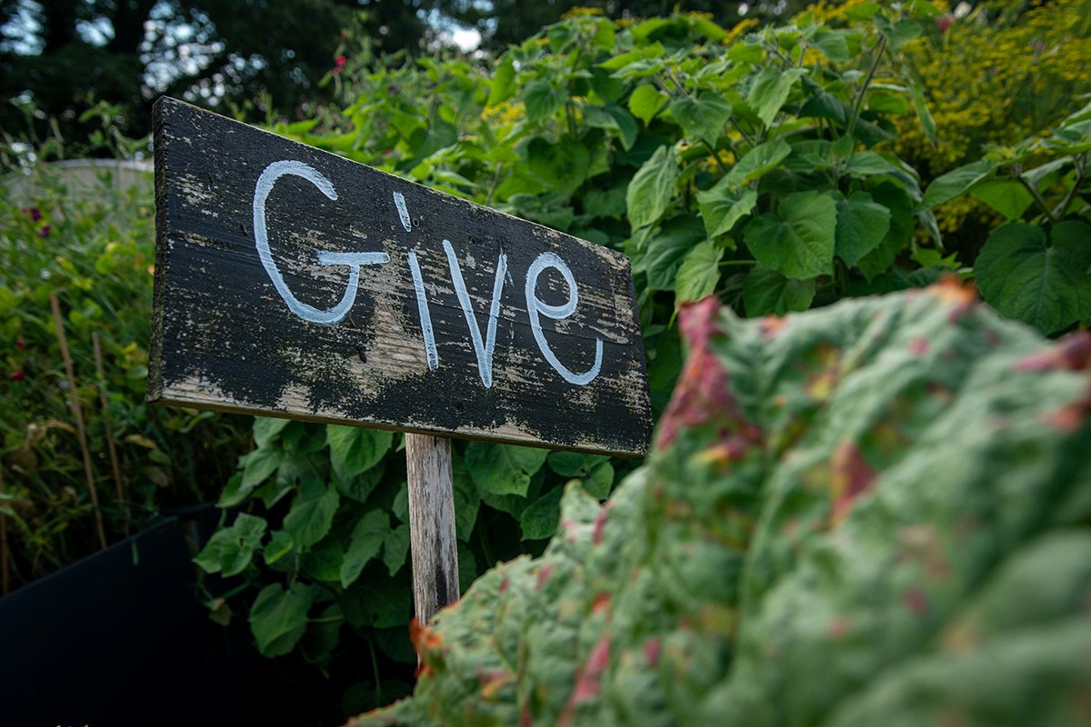 A hand-painted 'Give' sign in a community garden